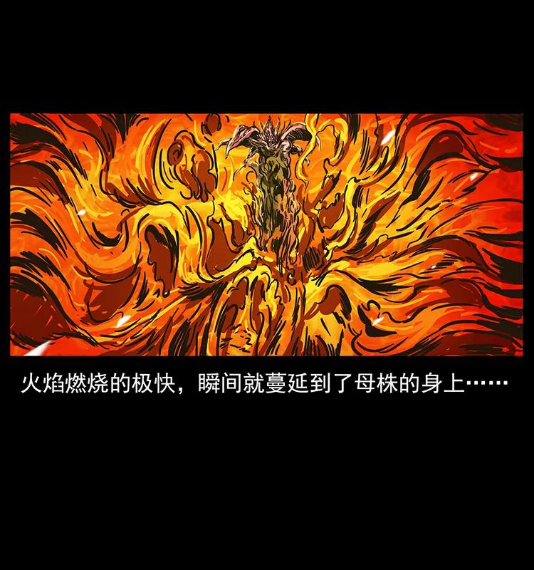 幽冥诡匠 236 神秘的小岛 第70页