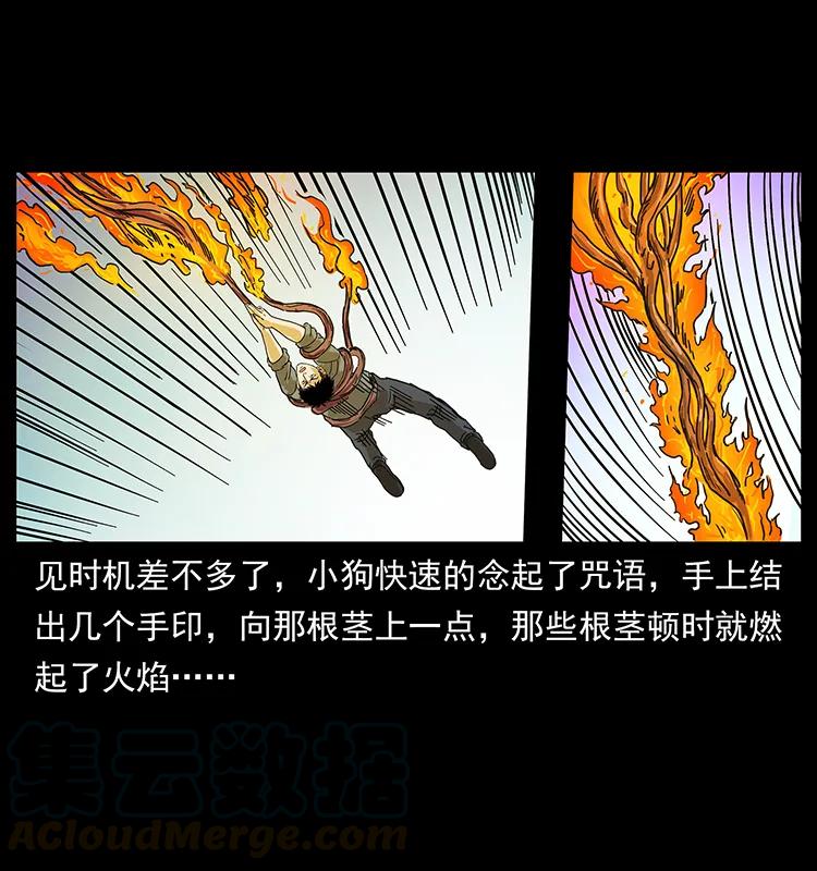 幽冥诡匠 236 神秘的小岛 第69页