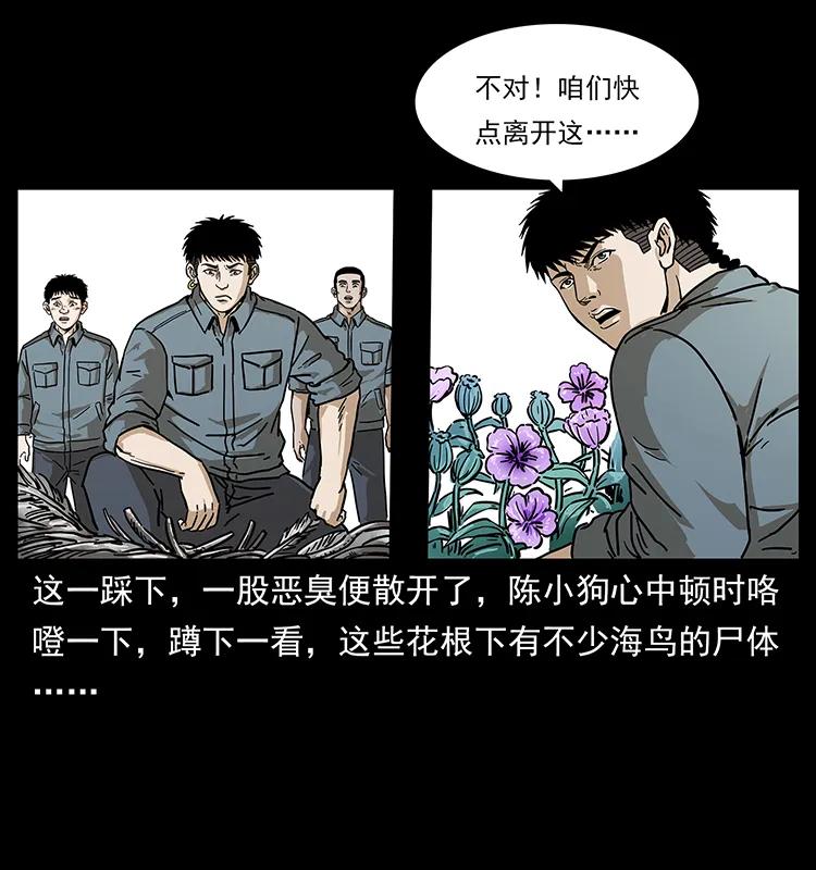 幽冥诡匠 236 神秘的小岛 第47页