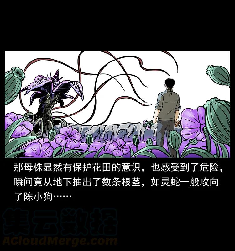 幽冥诡匠 236 神秘的小岛 第65页