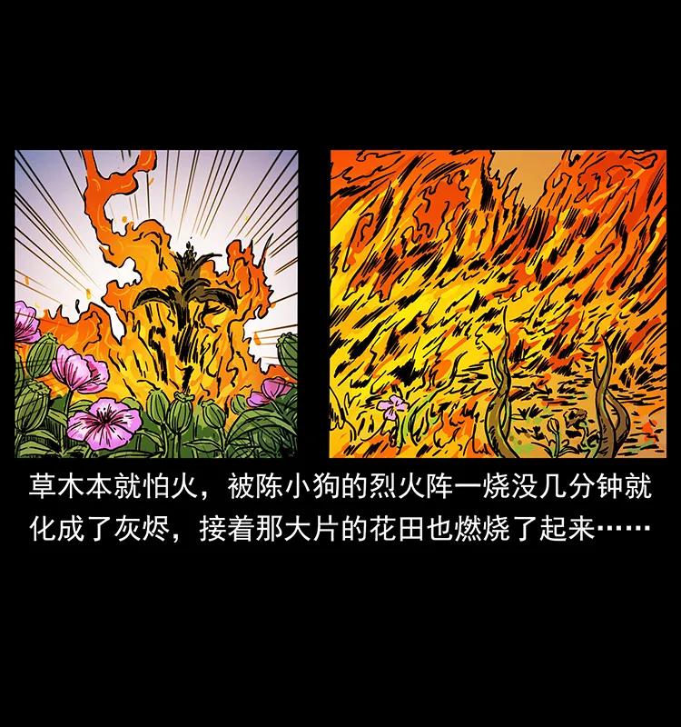 幽冥诡匠 236 神秘的小岛 第71页