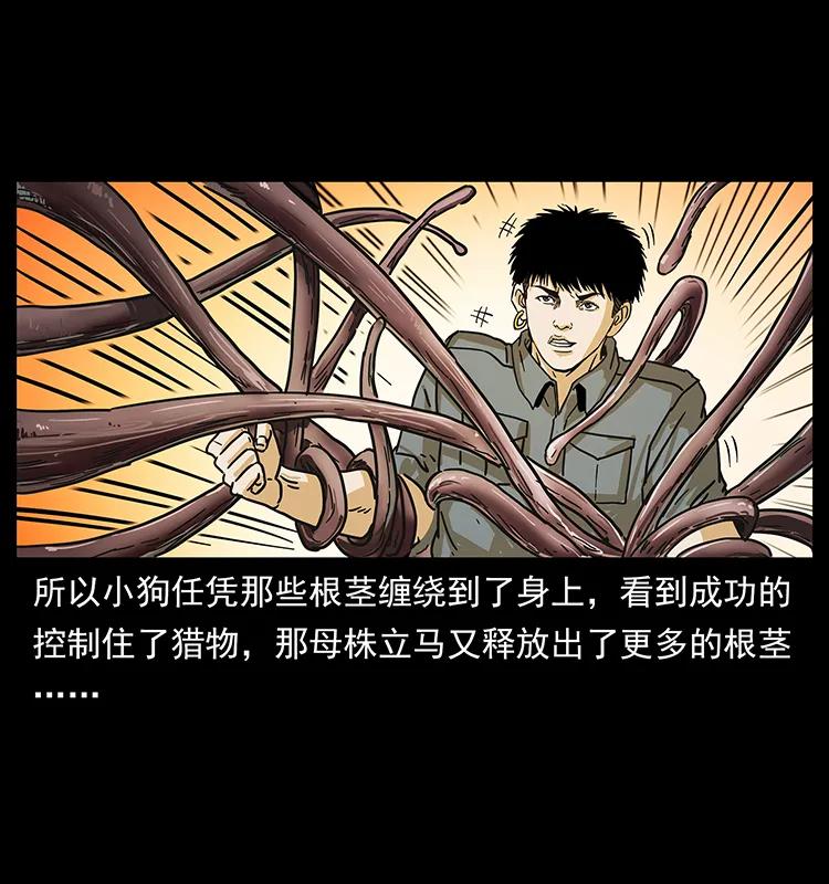 幽冥诡匠 236 神秘的小岛 第67页
