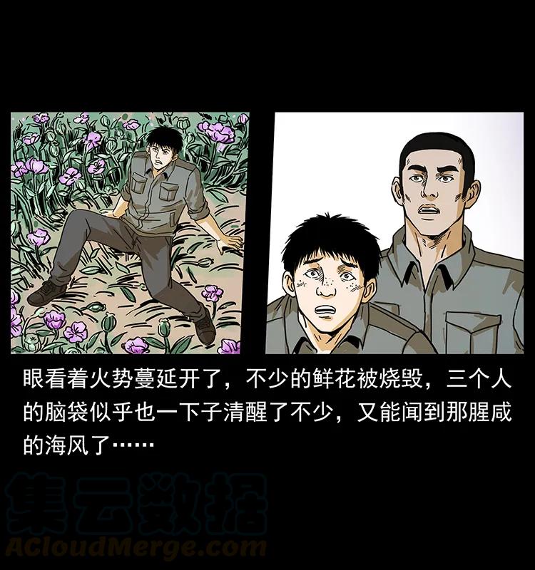 幽冥诡匠 236 神秘的小岛 第73页