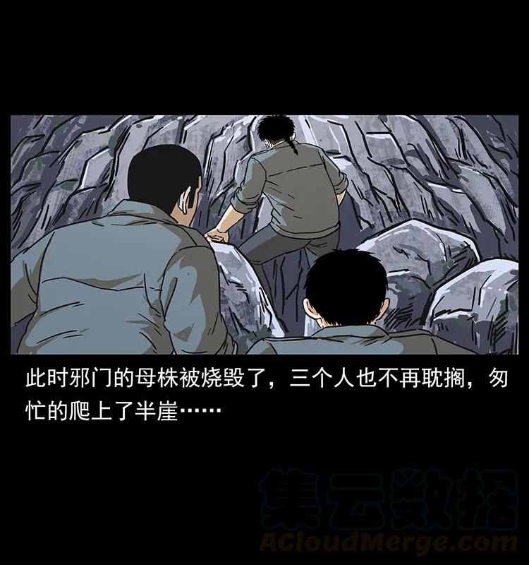 幽冥诡匠 236 神秘的小岛 第77页