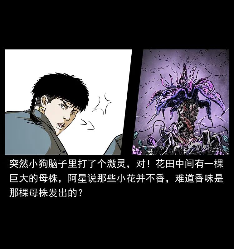 幽冥诡匠 236 神秘的小岛 第58页
