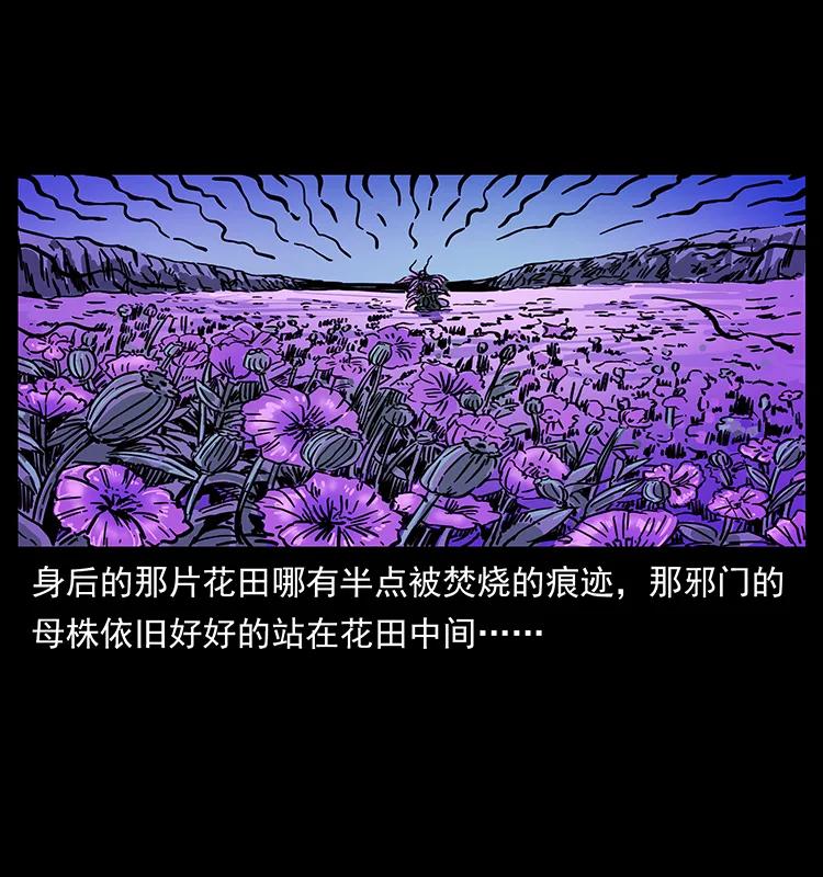 幽冥诡匠 236 神秘的小岛 第79页