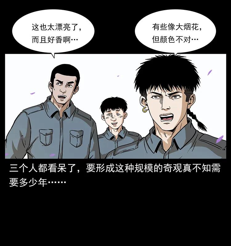 幽冥诡匠 236 神秘的小岛 第40页