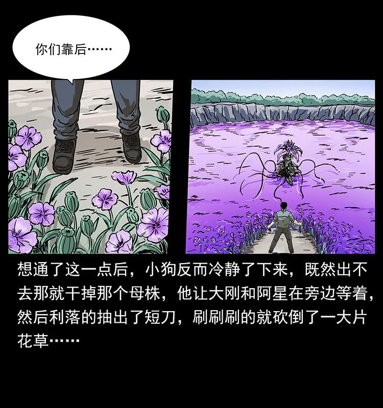 幽冥诡匠 236 神秘的小岛 第64页