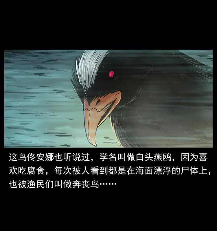 幽冥诡匠 238 海上也有阴兵借道？ 第28页
