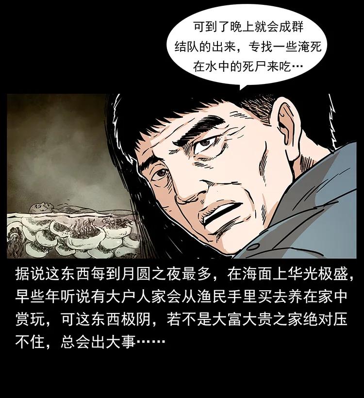 幽冥诡匠 240 意外频发的诱捕 第50页