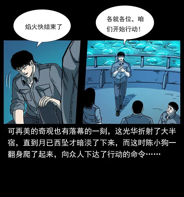 幽冥诡匠 240 意外频发的诱捕 第71页