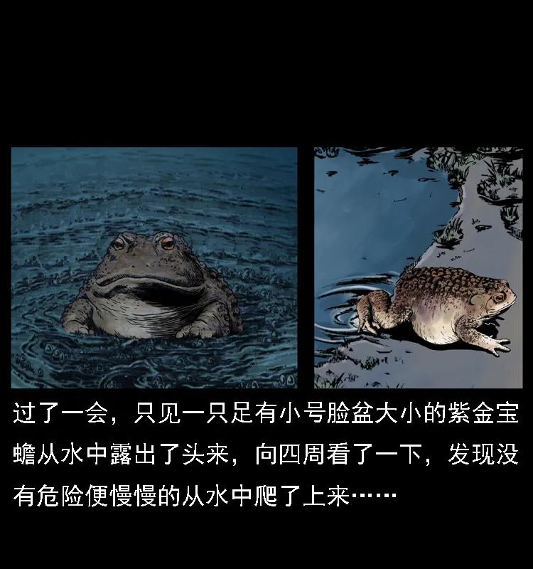 幽冥诡匠 024 聚宝蟾 第28页