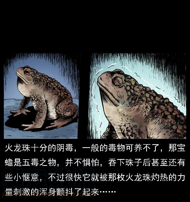 幽冥诡匠 024 聚宝蟾 第21页