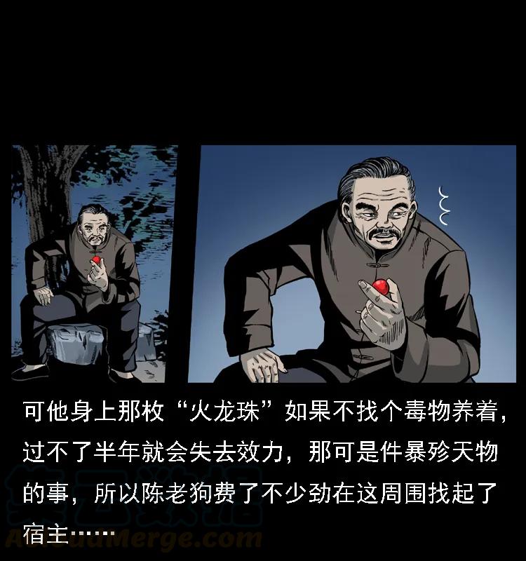 幽冥诡匠 024 聚宝蟾 第13页