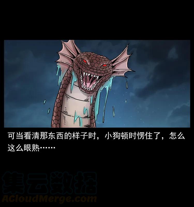 幽冥诡匠 242 陈小狗失算了 第77页