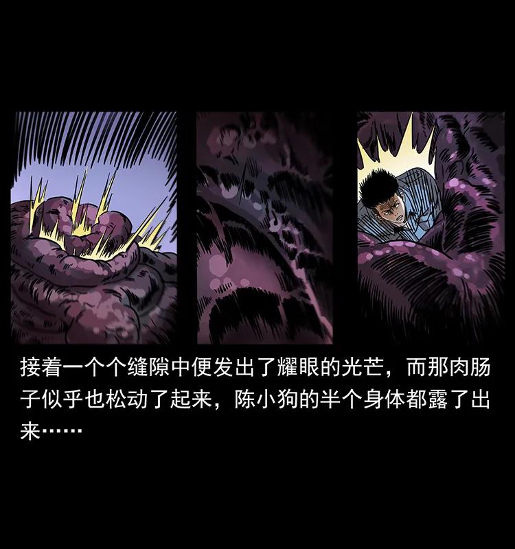 幽冥诡匠 242 陈小狗失算了 第43页