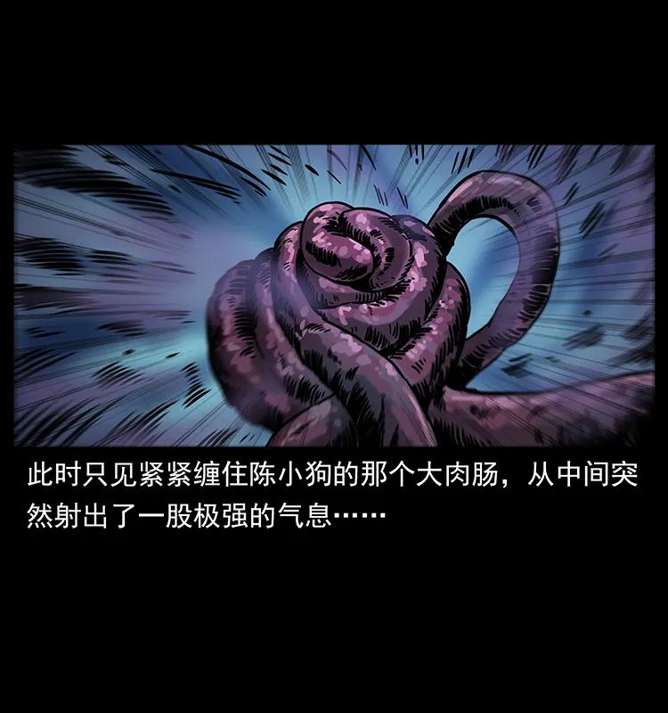 幽冥诡匠 242 陈小狗失算了 第42页