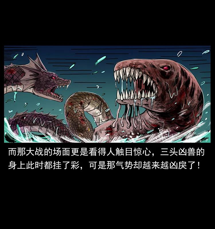 幽冥诡匠 244 神迹 第14页