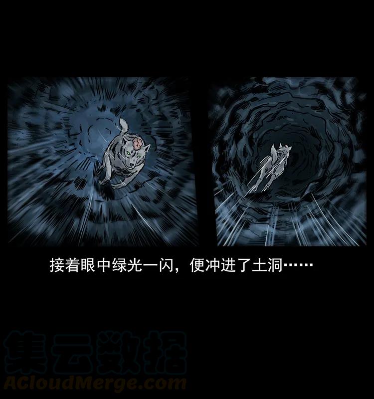 幽冥诡匠 250 走失 第81页