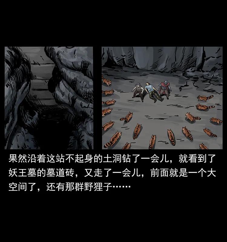 幽冥诡匠 250 走失 第51页