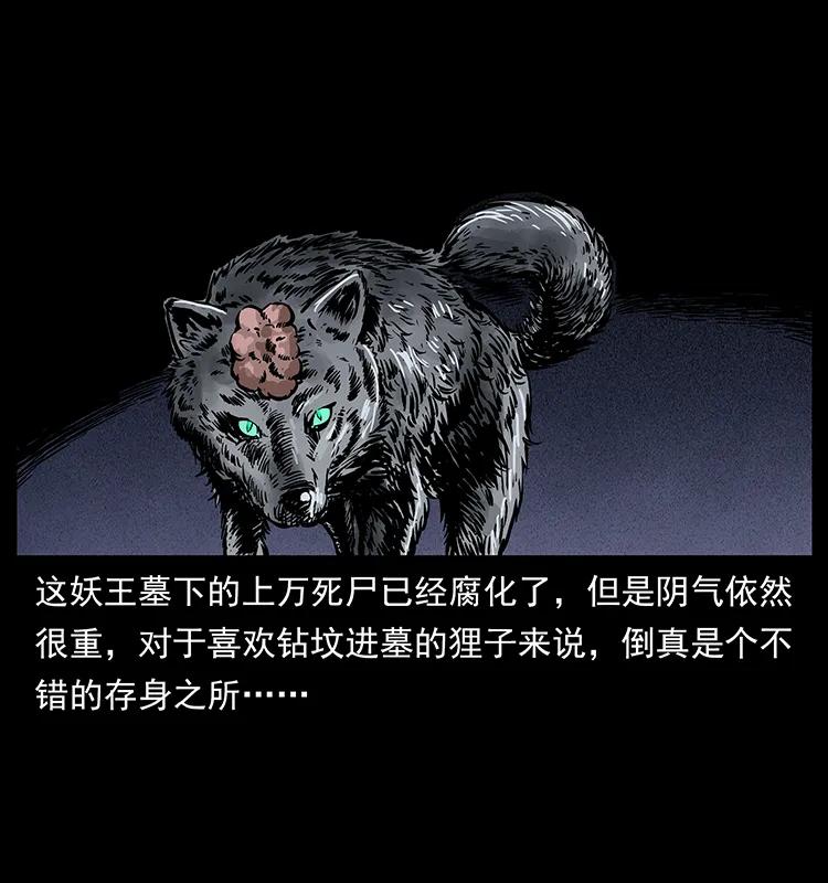 幽冥诡匠 251 刨尸狗遇险 第67页