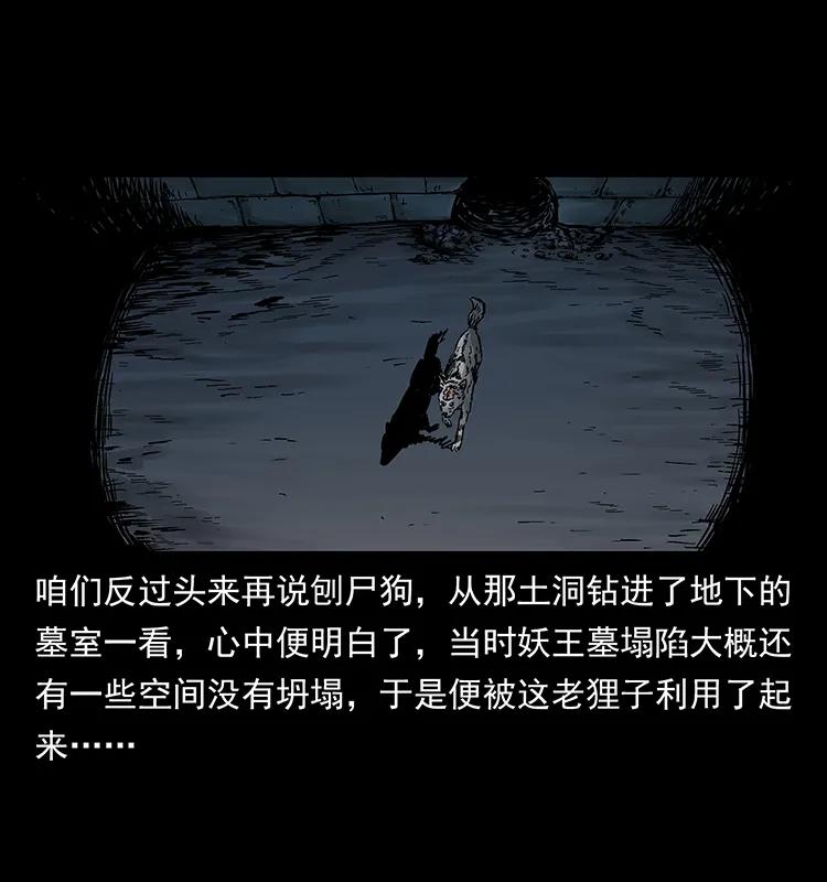 幽冥诡匠 251 刨尸狗遇险 第66页