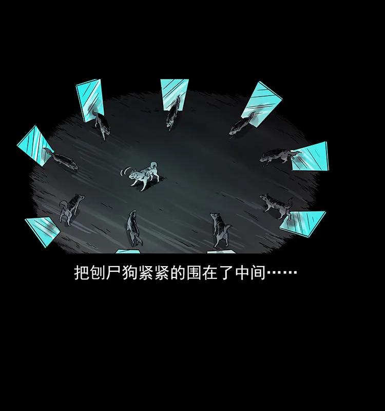幽冥诡匠 251 刨尸狗遇险 第84页
