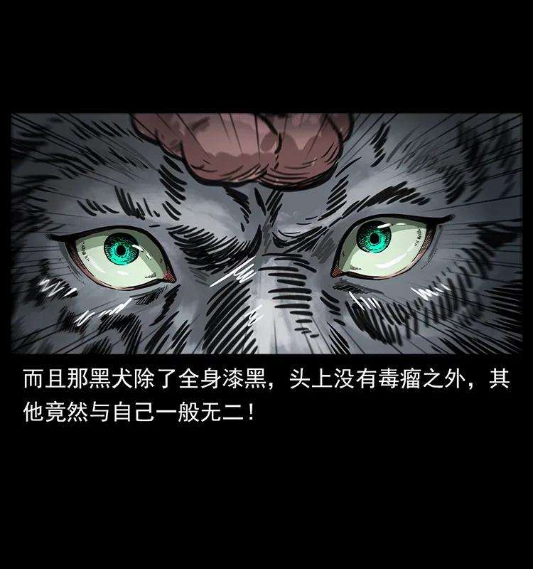 幽冥诡匠 251 刨尸狗遇险 第82页