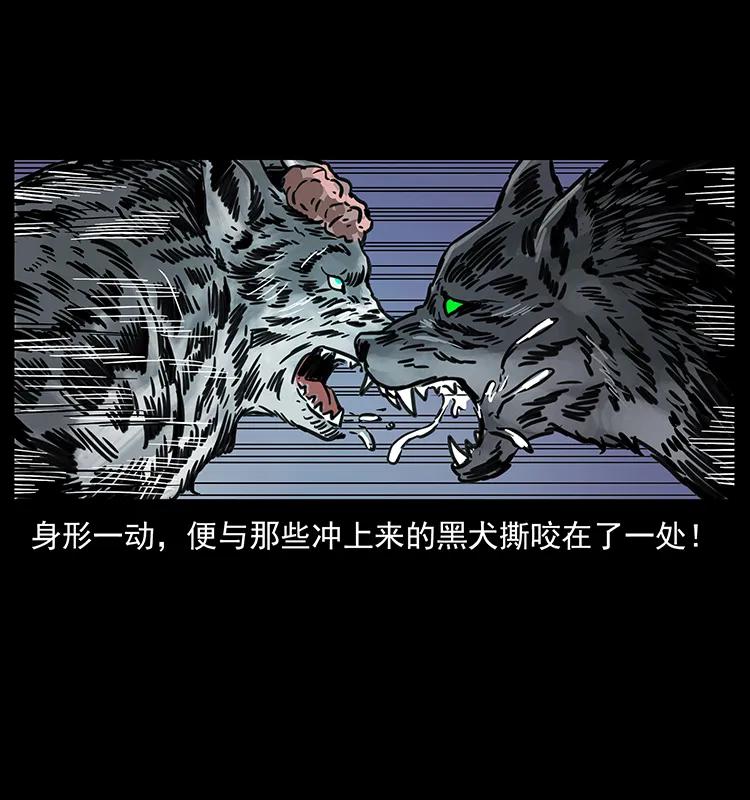 幽冥诡匠 251 刨尸狗遇险 第88页