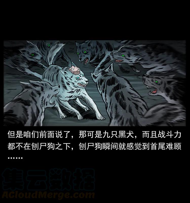 幽冥诡匠 251 刨尸狗遇险 第89页