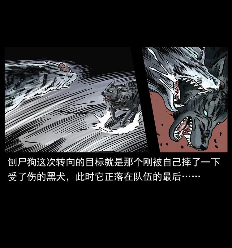 幽冥诡匠 252 危机！危机 第15页