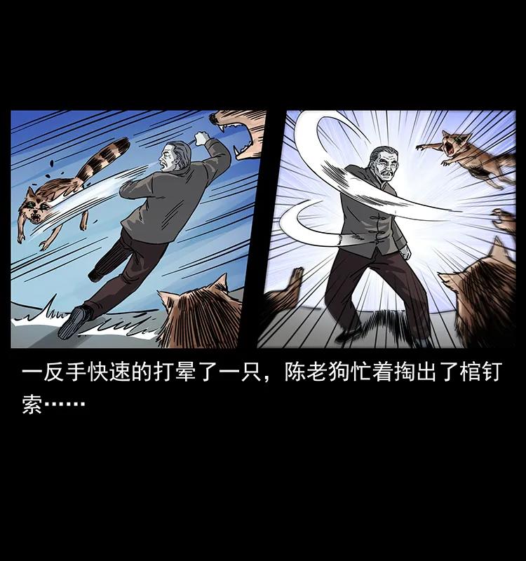 幽冥诡匠 252 危机！危机 第70页