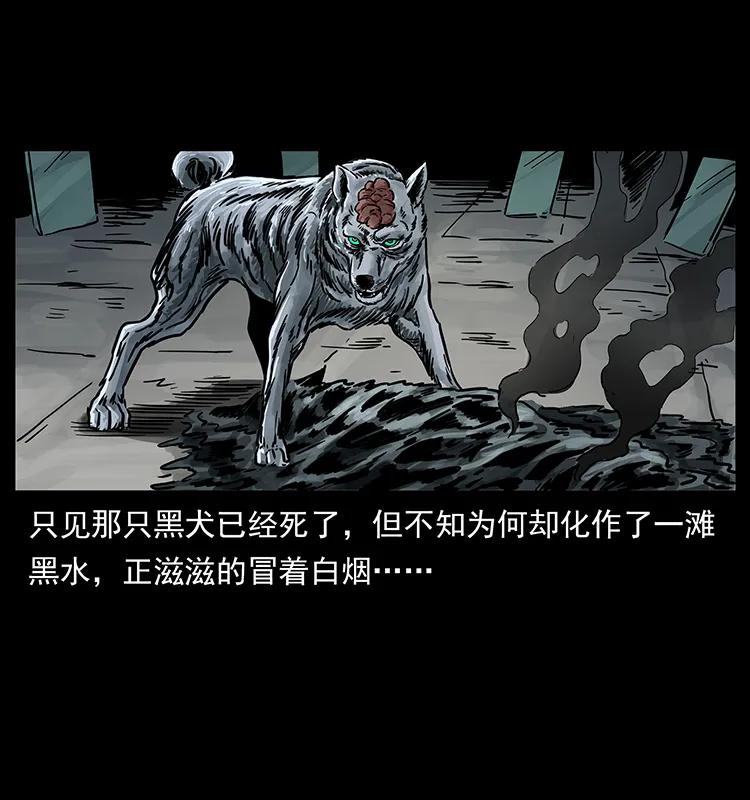 幽冥诡匠 252 危机！危机 第18页