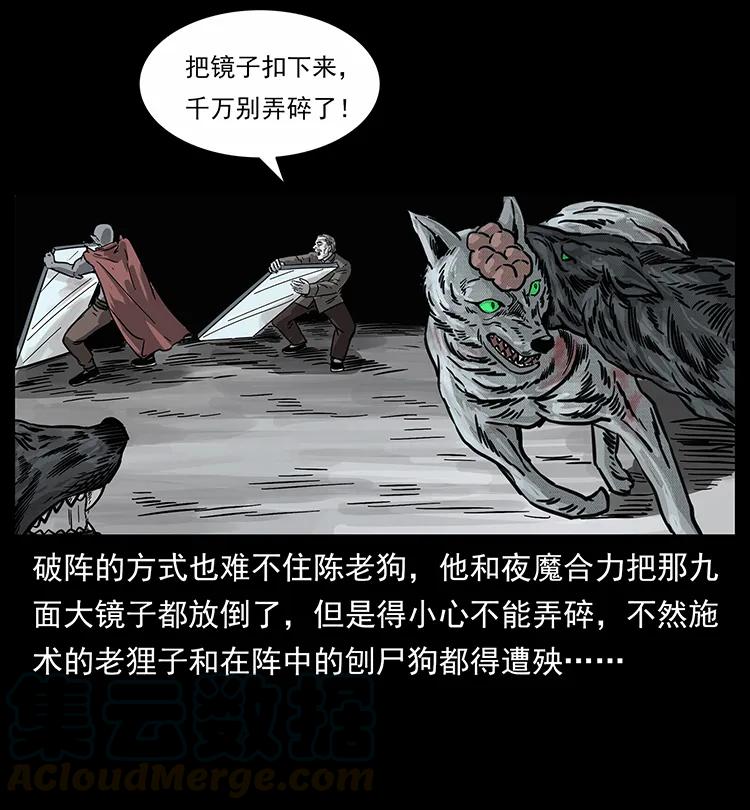 幽冥诡匠 252 危机！危机 第49页
