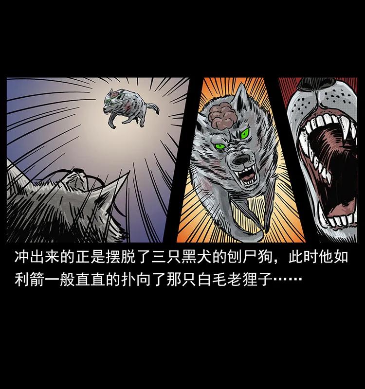 幽冥诡匠 252 危机！危机 第84页