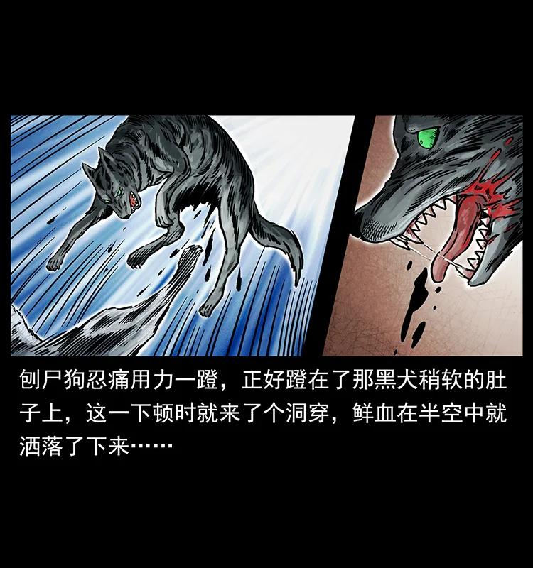 幽冥诡匠 252 危机！危机 第24页
