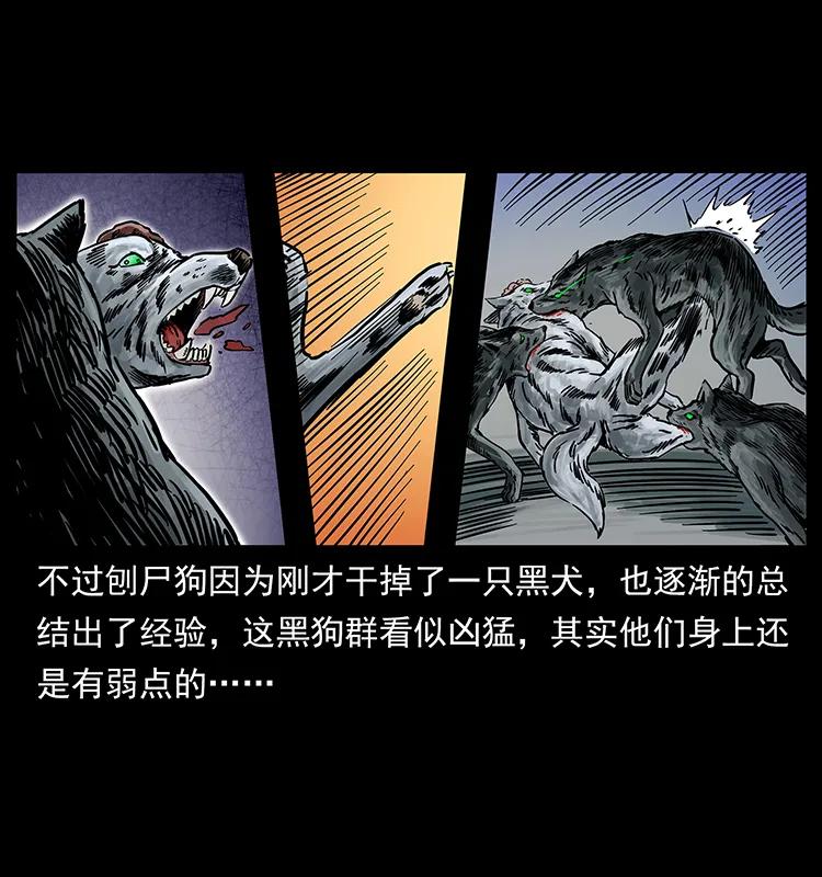 幽冥诡匠 252 危机！危机 第23页