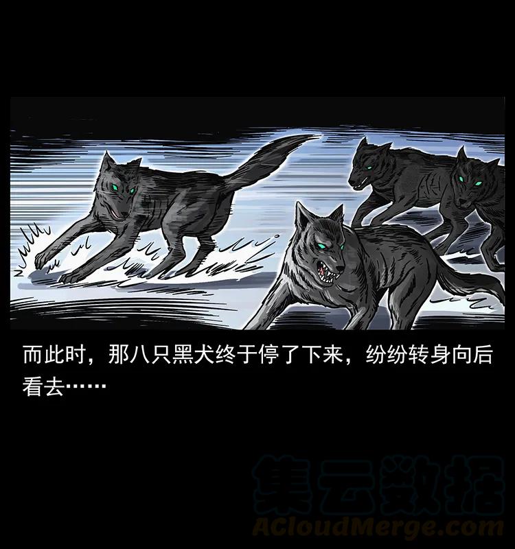 幽冥诡匠 252 危机！危机 第17页