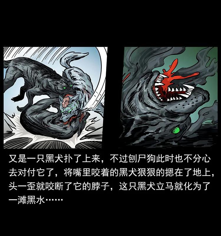 幽冥诡匠 252 危机！危机 第31页