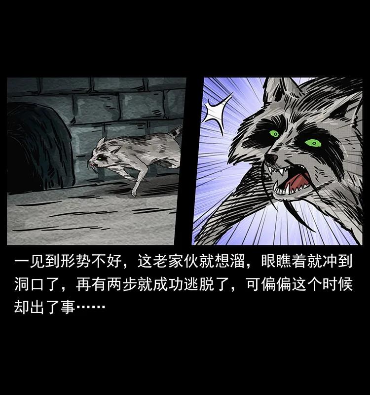 幽冥诡匠 252 危机！危机 第82页