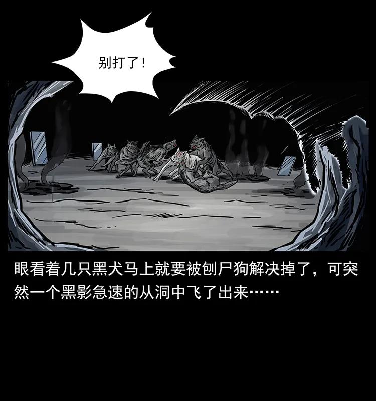 幽冥诡匠 252 危机！危机 第42页