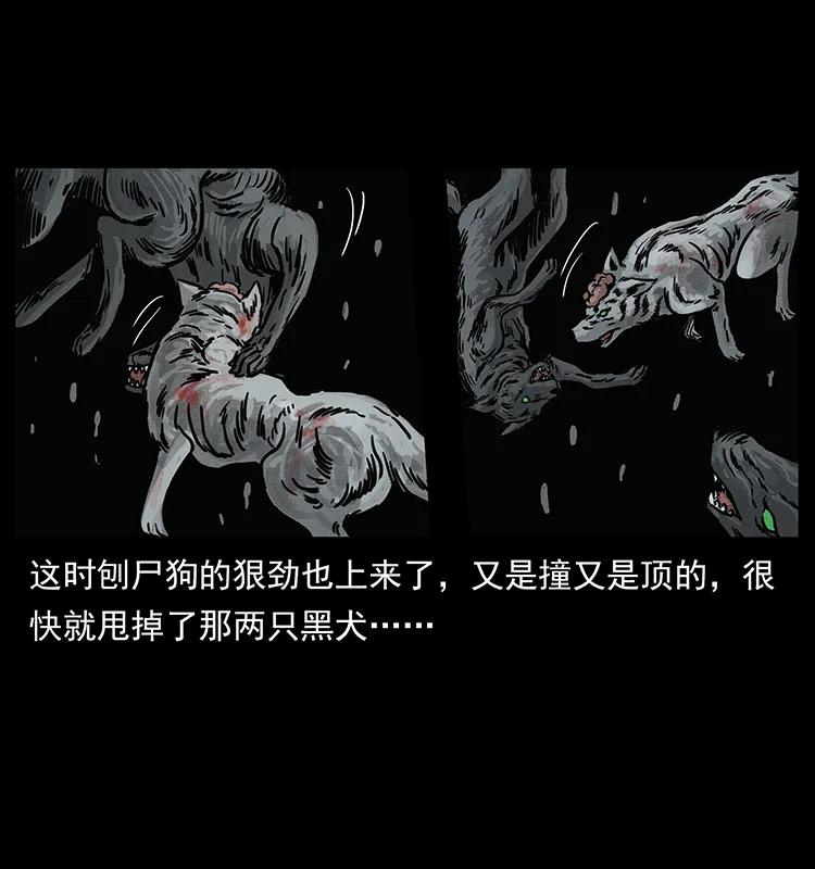 幽冥诡匠 252 危机！危机 第59页