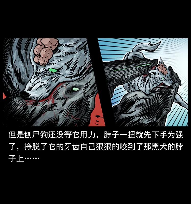 幽冥诡匠 252 危机！危机 第30页
