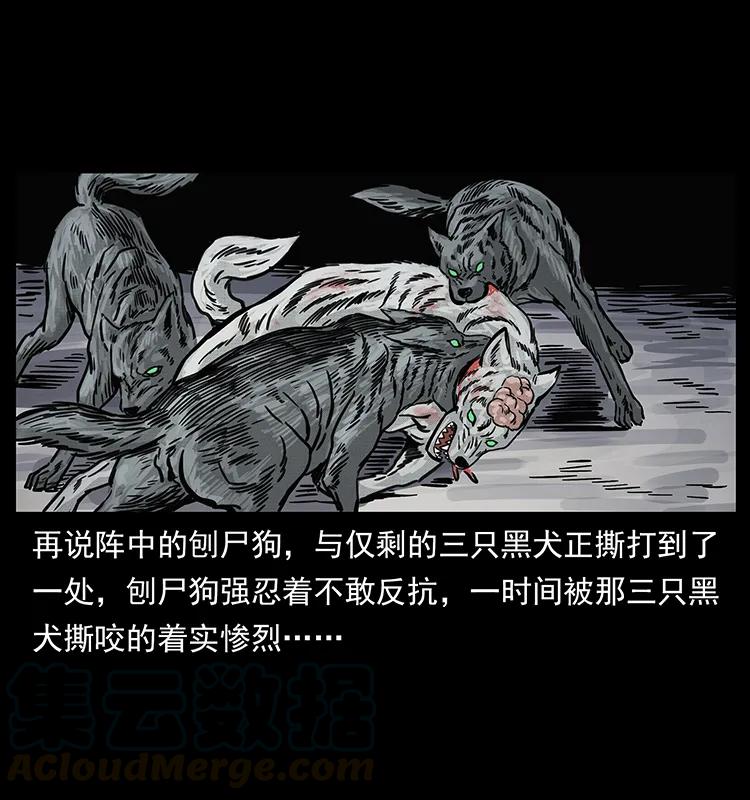 幽冥诡匠 252 危机！危机 第53页
