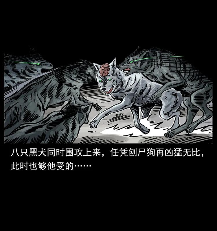 幽冥诡匠 252 危机！危机 第20页