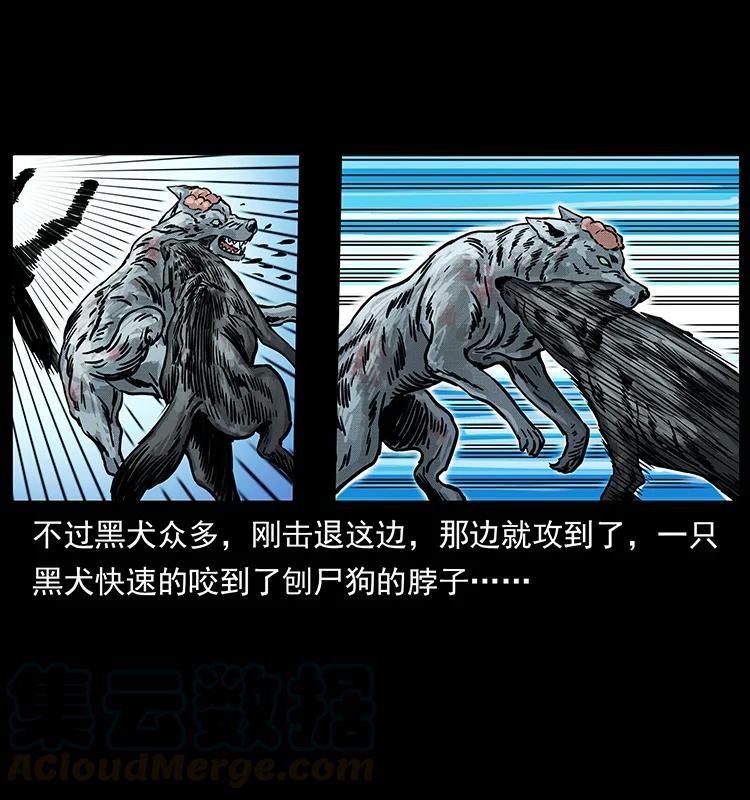 幽冥诡匠 252 危机！危机 第29页