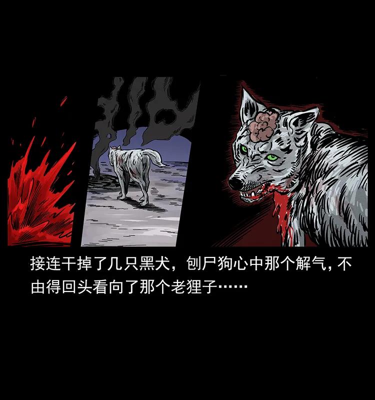 幽冥诡匠 252 危机！危机 第35页