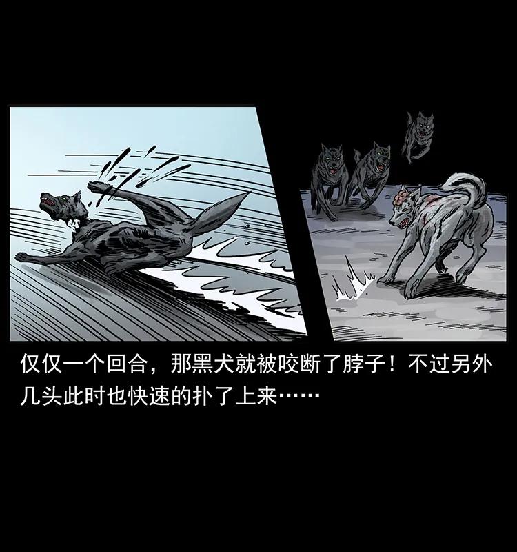 幽冥诡匠 252 危机！危机 第39页