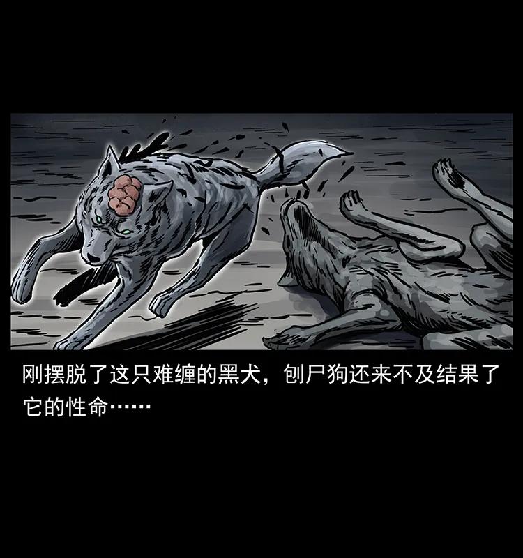 幽冥诡匠 252 危机！危机 第8页