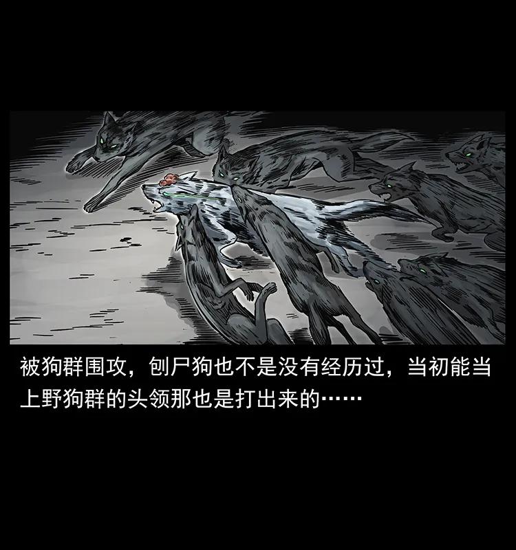 幽冥诡匠 252 危机！危机 第10页